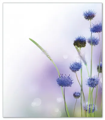 Produktbild von Wallario Herdabdeckplatte aus Glas, Größe 52 x 60 cm 1-teilig, Motiv Abstrakte lila Blume