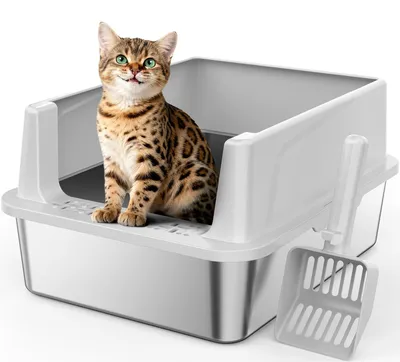 Image de Omgoods - Litière pour chat en acier inoxydable de 18 litres, idéale pour les chatons, avec rebord surélevé et protection contre les fuites