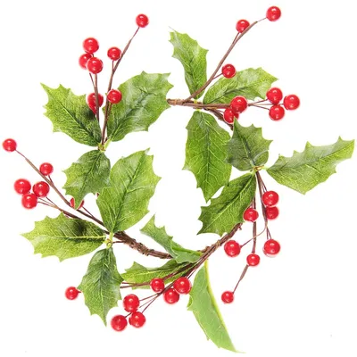 Immagine prodotto di Ghirlanda di agrifoglio con bacche rosse, Ø 20 cm