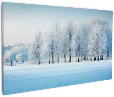 Produktbild von Wallario Premium Leinwandbild Verschneite Bäume in einer Winterlandschaft in Größe 60 x 90 cm
