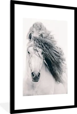 Produktbild von MuchoWow® MuchoWow® Gerahmtes Poster Pferd - Grau - Mähne 60x90 cm - Poster mit zchwarzem Bilderrahmen - Dekoration - Wandposter Wohnzimmer - Hochwertig