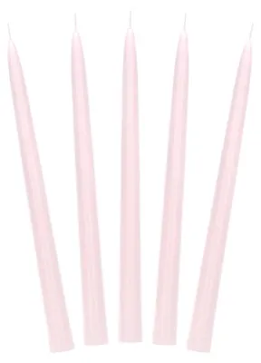 Produktbild von 10x Kegelkerze matt, hellrosa, 24cm