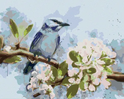 Produktbild von Zuty - Malen nach Zahlen - BLAUER VOGEL AUF EINEM KIRSCHBLÜTENBAUM, 40x50 cm, ohne Keilrahmen