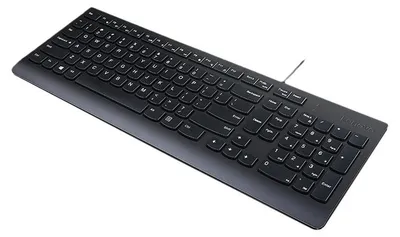 Zdjęcie produktu dla Lenovo Essential, Pełnowymiarowy (100%), Przewodowa, USB, Czarny