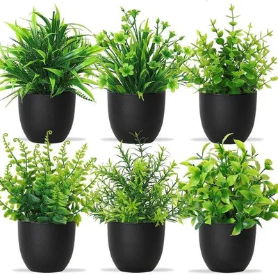 Zdjęcie produktu dla Zestaw 6 sztuk sztucznych roślin z plastikowymi doniczkami, małe, zielone rośliny do dekoracji wnętrz, idealne do biura, salonu, sypialni i łazienki.