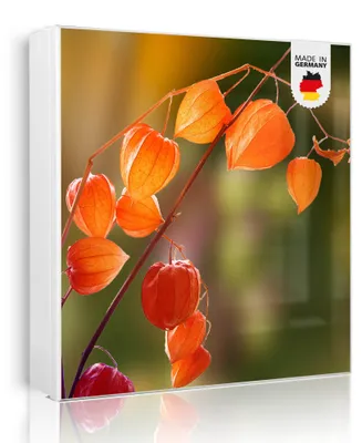 Produktbild von banjado Schlüsselkasten aus Metall, 30x30cm groß mit 32 Haken, als Magnettafel nutzbar, Korpus weiß, Anschlag rechts, Lampionblume [SKGW1 10322]