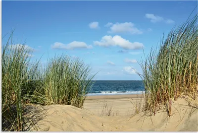 Produktbild von ARTland Wandbild Alu für Innen & Outdoor Blick aus der Düne auf das Meer Größe: 90x60 cm