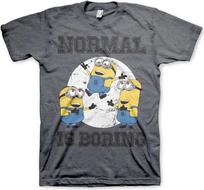 Produktbild von Minions - Normal Life Is Boring T-Shirt - X-Large - Dark-Heather