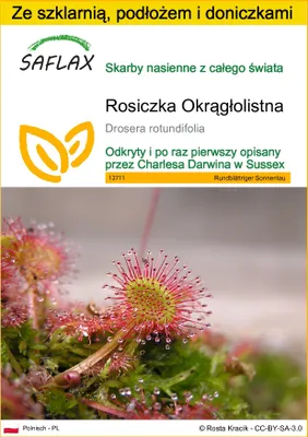 Zdjęcie produktu dla SAFLAX - Zestaw do uprawy - Rosiczka Okrągłolistna - 50 Nasiona - Z mini szklarnią, podłożem uprawowym i 2 doniczkami - Drosera rotundifolia