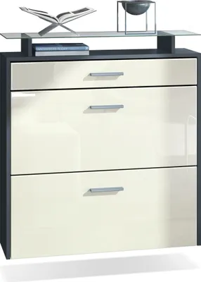 Produktbild von Vladon Schuhschrank Malea, Anthrazit matt/Creme Hochglanz - hängender Schuhkipper für 16 Paar Schuhe (89 x 96 x 23 cm)