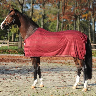 Produktbild von Kavalkade Fliegendecke Stripe
