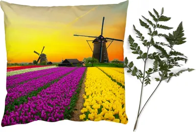 Produktbild von MuchoWow® Zierkissen Sofakissen Wohnzimmer Dekokissen 50x50 cm Windmühle - Tulpen - Blumen - Frühling - Komfort - Sofakissen