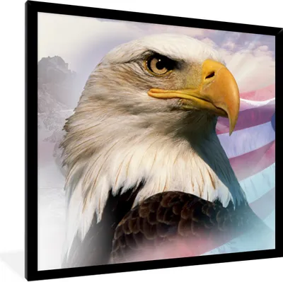 Produktbild von MuchoWow® Gerahmtes Poster Ein amerikanischer Weißkopfseeadler mit einer amerikanischen Flagge und Bergen 40x40 cm - Poster mit Schwarzem Bilderrahmen Wandposter Rahmen Foto Bilder - Mit Rahmen - Wanddekoration Schlafzimmer