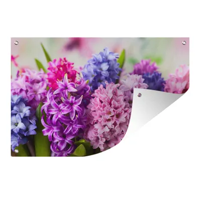Obrázek produktu pro MuchoWow® Zahradní plakáty - Hyacint - Květiny - Rostliny - 120x180 cm - Zahradní dekorace