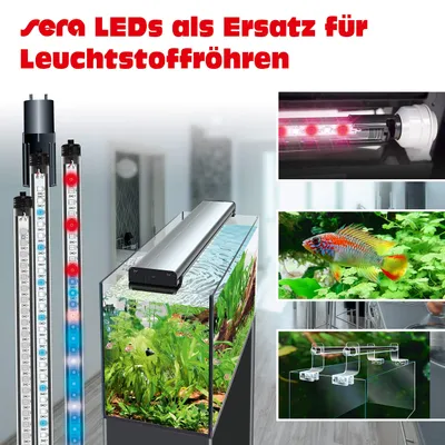 Image de sERA LED bleu marine sunrise 1120, 24 W
