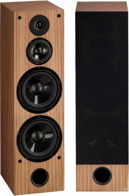 Obrázek produktu pro Acoustique Quality WEGA 55 - Stojanová reprosoustava se třemi cestami a 250 W / ořech
