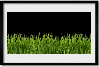 Produktbild von Bild 60x40 MDF-Rahmen Wandkunst Green Grass Natur
