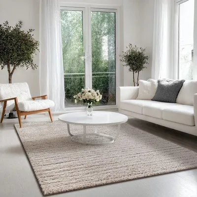 Image de Tapis à poils longs Shaggy Salon Moderne Doux Beige, 160x230 cm