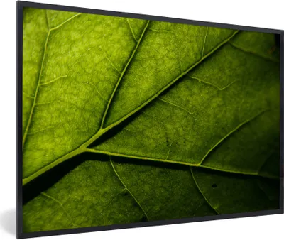 Produktbild von MuchoWow® Gerahmtes Poster Nahaufnahme eines Blattes 60x40 cm - Poster mit Schwarzem Bilderrahmen Wandposter Rahmen Foto Bilder - Printing - Wanddeko Schlafzimmer