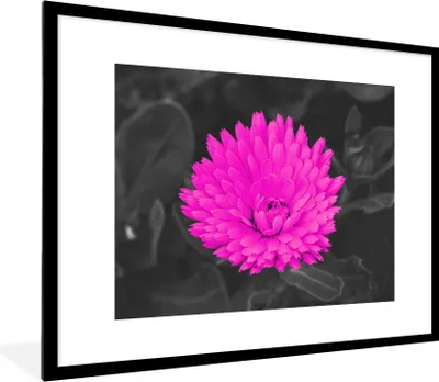 Produktbild von MuchoWow® Gerahmtes Poster Blumen - Aquarell - Rosa 80x60 cm - Poster mit Schwarzem Bilderrahmen Wandposter Rahmen Foto Bilder - Schlafzimmer-Dekorationen - Fotoposter