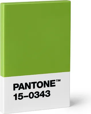 Produktbild von PANTONE Design- Kartenetui Credit & Business Card Holder, Farbe:Green 15-0343
