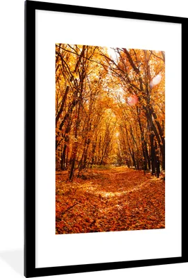 Produktbild von MuchoWow® Gerahmtes Poster Herbst - Wald - Laub - Jahreszeiten 60x90 cm - Poster mit Schwarzem Bilderrahmen Wandposter Rahmen Foto Bilder - Dekoration - Wandposter Wohnzimmer - Hochwertig