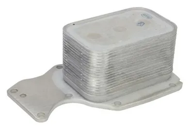 Obrázek produktu pro Chladič oleje, motorový olej THERMOTEC D4B031TT