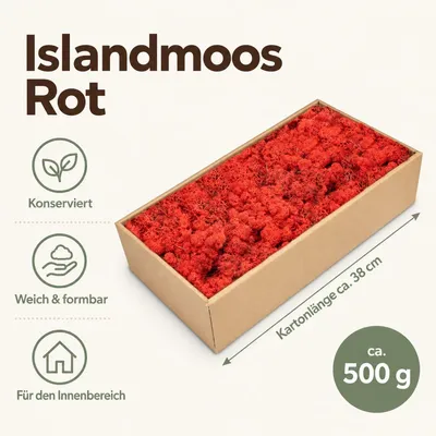 Produktbild von Islandmoos 500 g in über 30 Farben, konservierte Rentierflechte Deko Basteln, Farbe:Rot