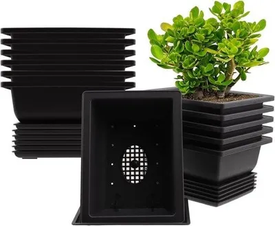 Image de 12 pots à bonsaï (165 x 123 cm) avec soucoupes – Pots en plastique pour le salon, le bureau et le jardin