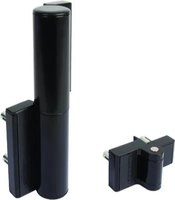 Image de Charnière hydraulique et ferme-porte tout en un, Locinox Tiger, noir