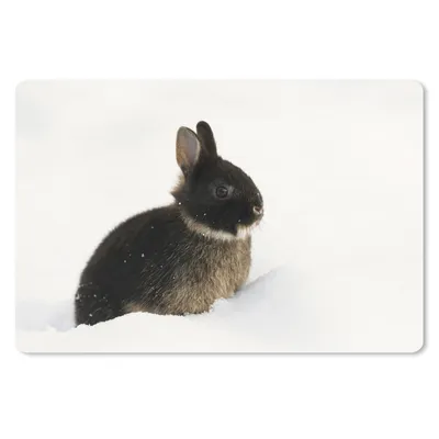 Produktbild von MuchoWow® Mauspad Mousepad Kaninchen - Schnee - Winter 27x18 cm - Mousepads - Maus Mat - Pad - Mausunterlage - Büroartikel - Desk Matten