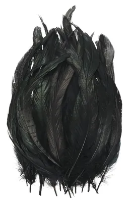 20 natürliche Hahnenfedern, 25–30 cm, schwarz, für DIY-Deko