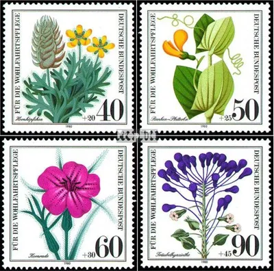 Produktbild von Briefmarken BRD (BR.Deutschland) 1980 Mi 1059-1062 (kompl.Ausgabe) postfrisch Gefährdete Ackerwildkräuter