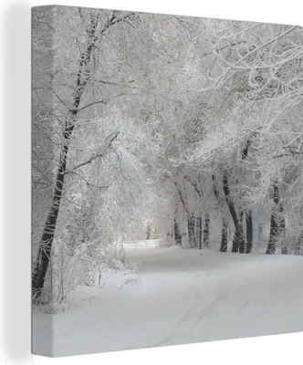 Produktbild von MuchoWow® - Leinwandbilder - Bäume - Schnee - Winter, Wandbild, Wanddeko Bilder Wohnzimmer, 20x20 cm