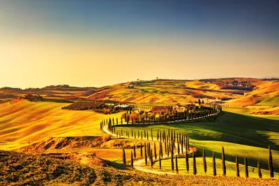 Produktbild von Fototapete - Tuscany 375x250cm - Vliestapete