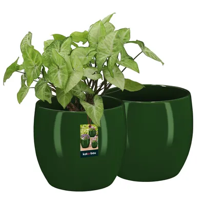 Two green ceramic plant pots are shown against a white background. One pot contains a green plant, and a tag is attached to it.