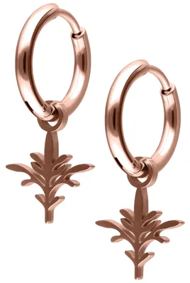 Produktbild von Wildcat Ohrringe - Mini Branch Hoops Pair aus Chirurgenstahl 316L, Körperstelle: Ohr, Onesize, Roségold