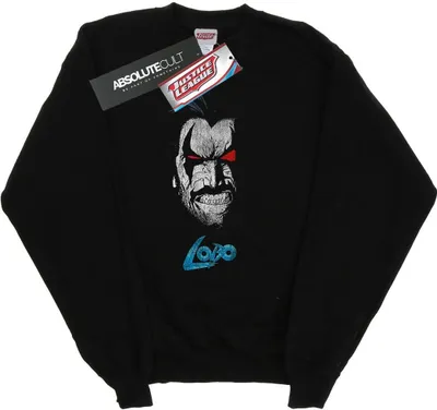 Produktbild von DC Comics - Sweatshirt für Herren BI29359 (M) (Schwarz)