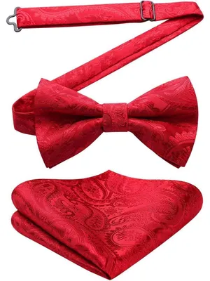 Imagen del producto de Pañuelo de bolsillo para hombre, ajustable, para esmoquin, boda, color rojo, modelo 1