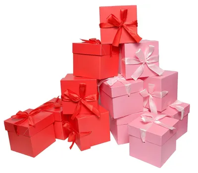 Image de Boîtes cadeaux avec couvercles 12 pièces Rose et Rouge