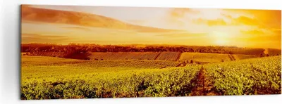 Produktbild von Bild auf Leinwand - Leinwandbild - Weinberg Aussicht Landschaft - 160x50cm - Wand Bild - Wanddeko - Leinwanddruck - Bilder - Kunstdruck - Wanddekoration - Leinwand bilder - Wandkunst - AB160x50-0170