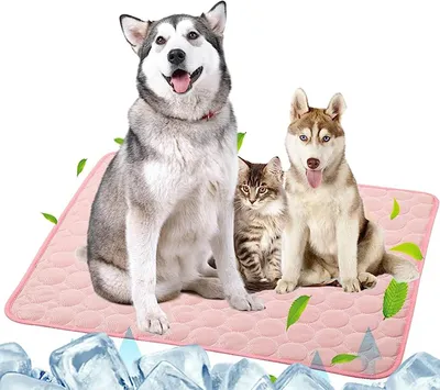 Produktbild von Kühlmatte für Hund Katze, kühldecke für hunde, Selbstkühlend Kühldecke Kältematte, Eismatte, 70 x 55cm