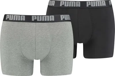 Zdjęcie produktu dla Slipy Puma 521015001-691 dla Męskie