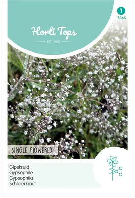 Produktbild von Schleierkraut Weiß | Blumensamen von Hortitops