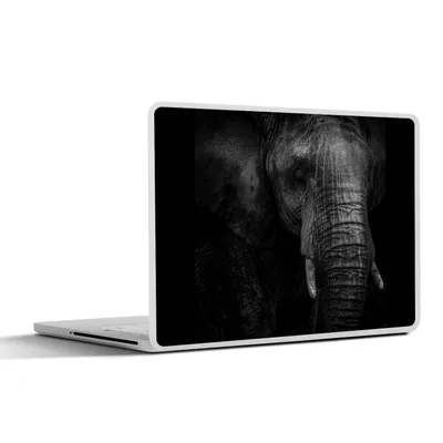 Produktbild von MuchoWow® Laptop Aufkleber Sticker Cover Elefant - Tier - Porträt 40x30 cm - Laptop Dekoration - Selbstklebend