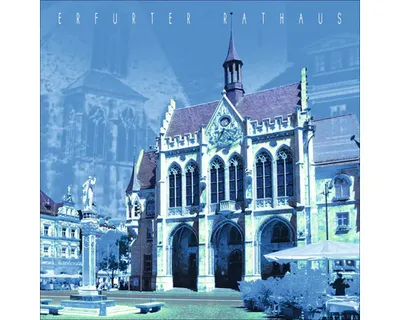 Produktbild von Glasbild Erfurt Rathaus I 20x20 cm