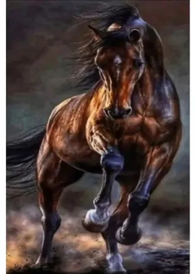 Produktbild von NORIMPEX Diamantov malovin Wildpferd 30x40cm