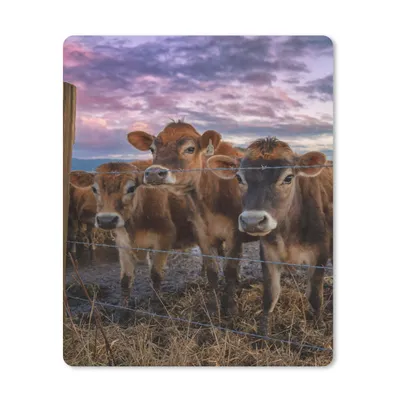 Produktbild von MuchoWow® Mauspad Mousepad Kuh - Tiere - Kühe 19x23 cm - Mousepads - Maus Mat - Pad - Mausunterlage - Mauspads - Spielen
