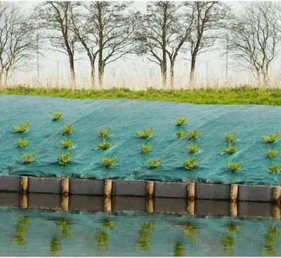 Image de Tissu de protection du sol contre les mauvaises herbes Nature 1×10 m Vert
