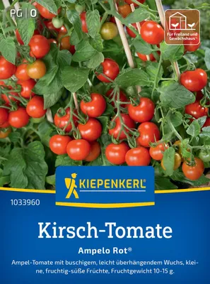 Produktbild von Kiepenkerl Kirsch-Tomatensamen Ampelo Rot F1 Solanum lycopersicum 12 Pflanzen